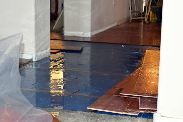 Professional Sewage Cleanup technician working in Davenport, IA