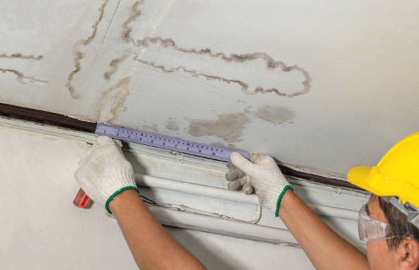 Reliable Sewage Cleanup contractor in Davenport, IA by Water Damage Irwin